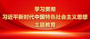 操逼流水视频下载学习贯彻习近平新时代中国特色社会主义思想主题教育_fororder_ad-371X160(2)